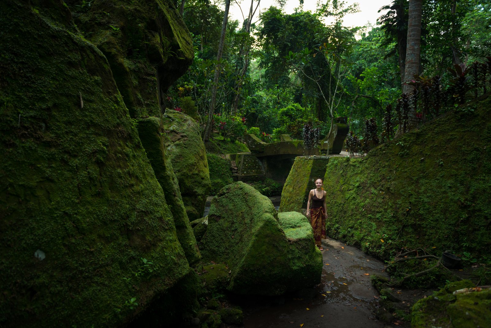 Borneo Island: Discover The massive Rainforests